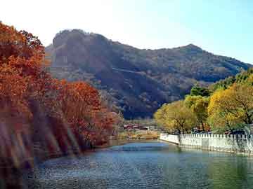 哪里可以直接购买打胎药50岁吃打胎药能行吗（50岁打胎危险吗）